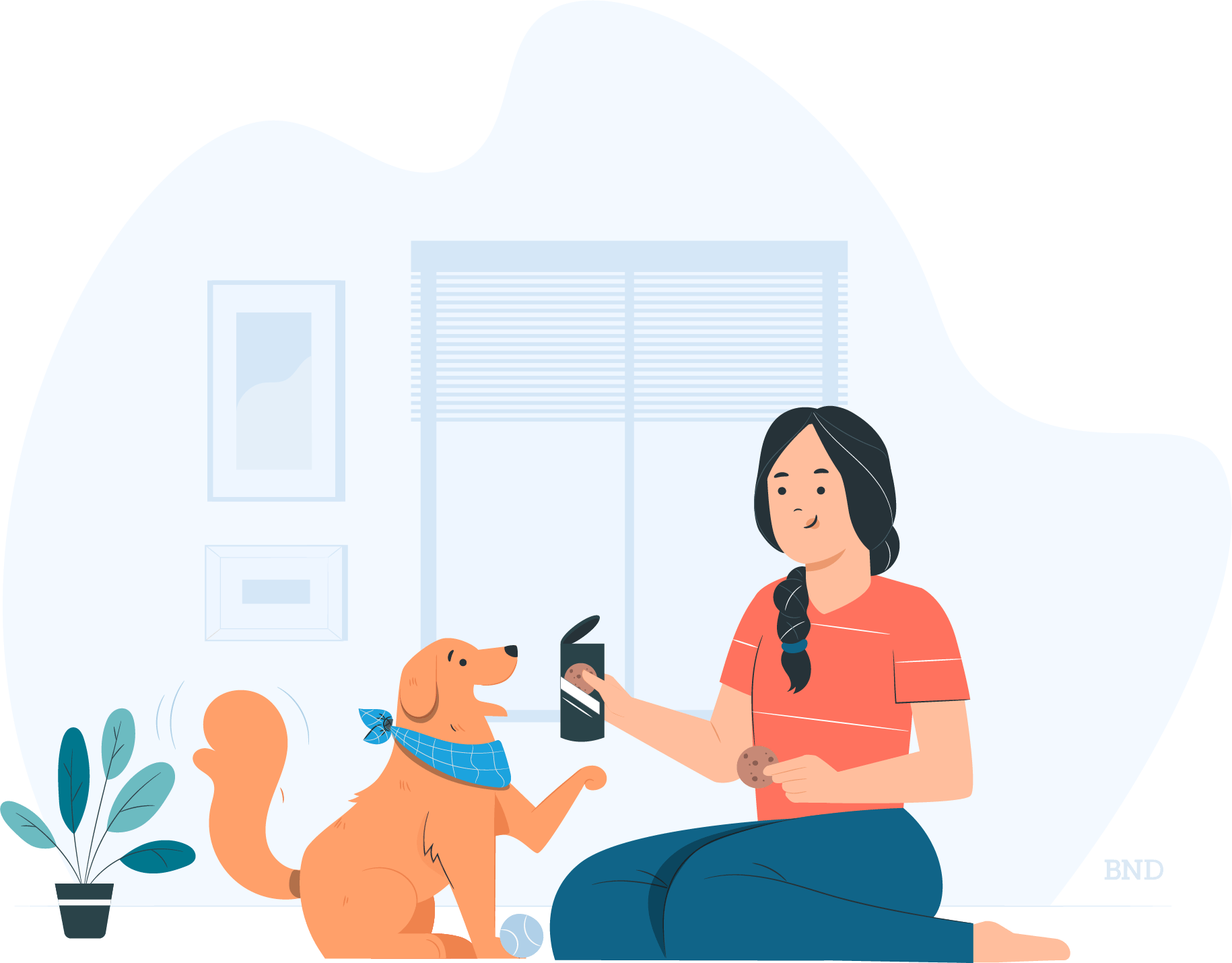 graphic of person playing with a dog