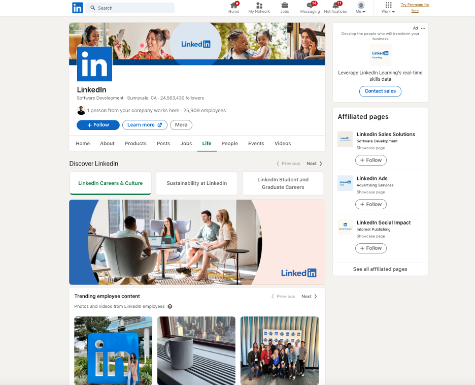 Linkedin NiallGianluca