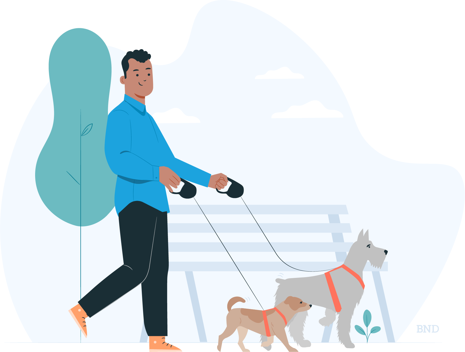 graphic of person walking two dogs