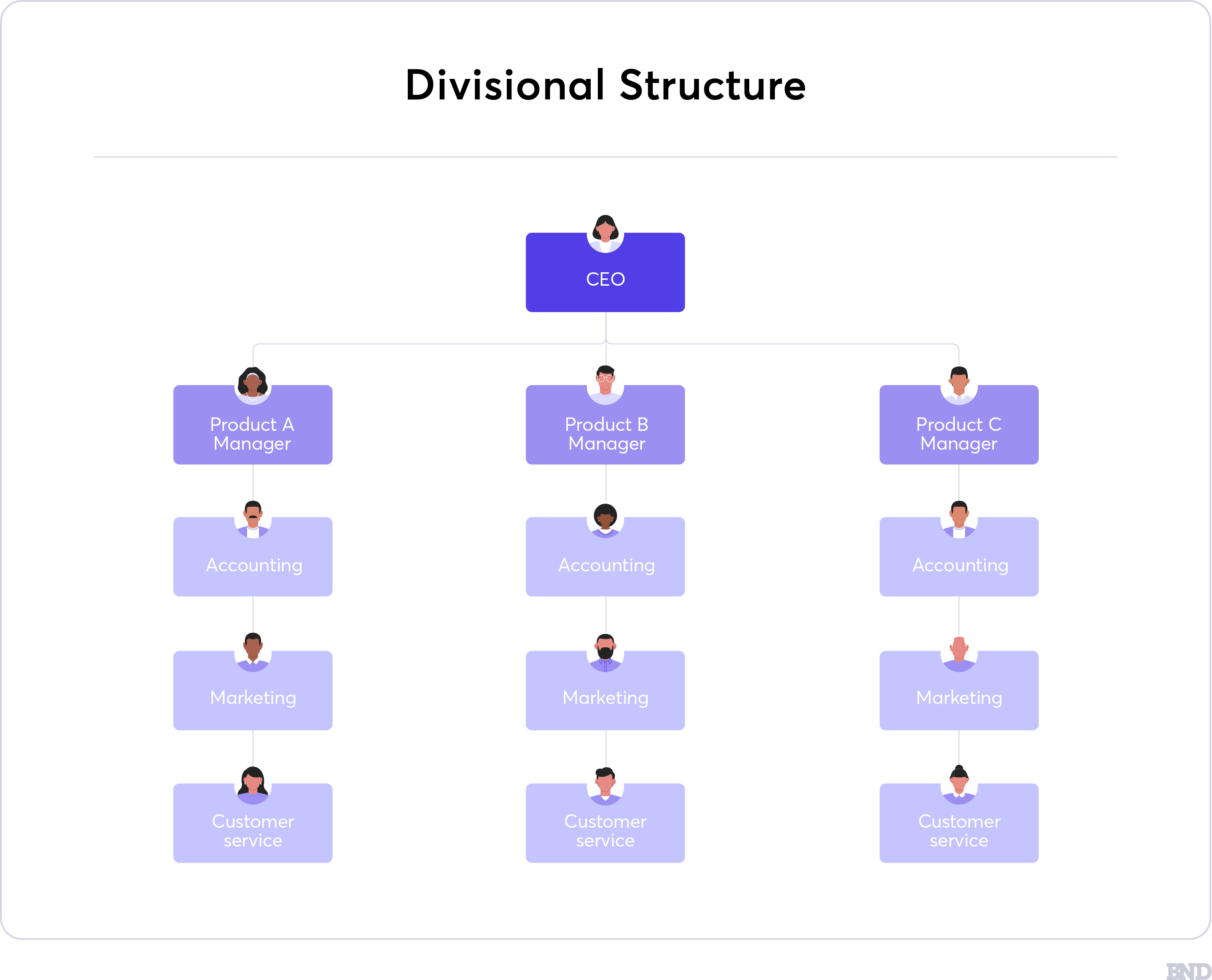 Divisional structure infographic