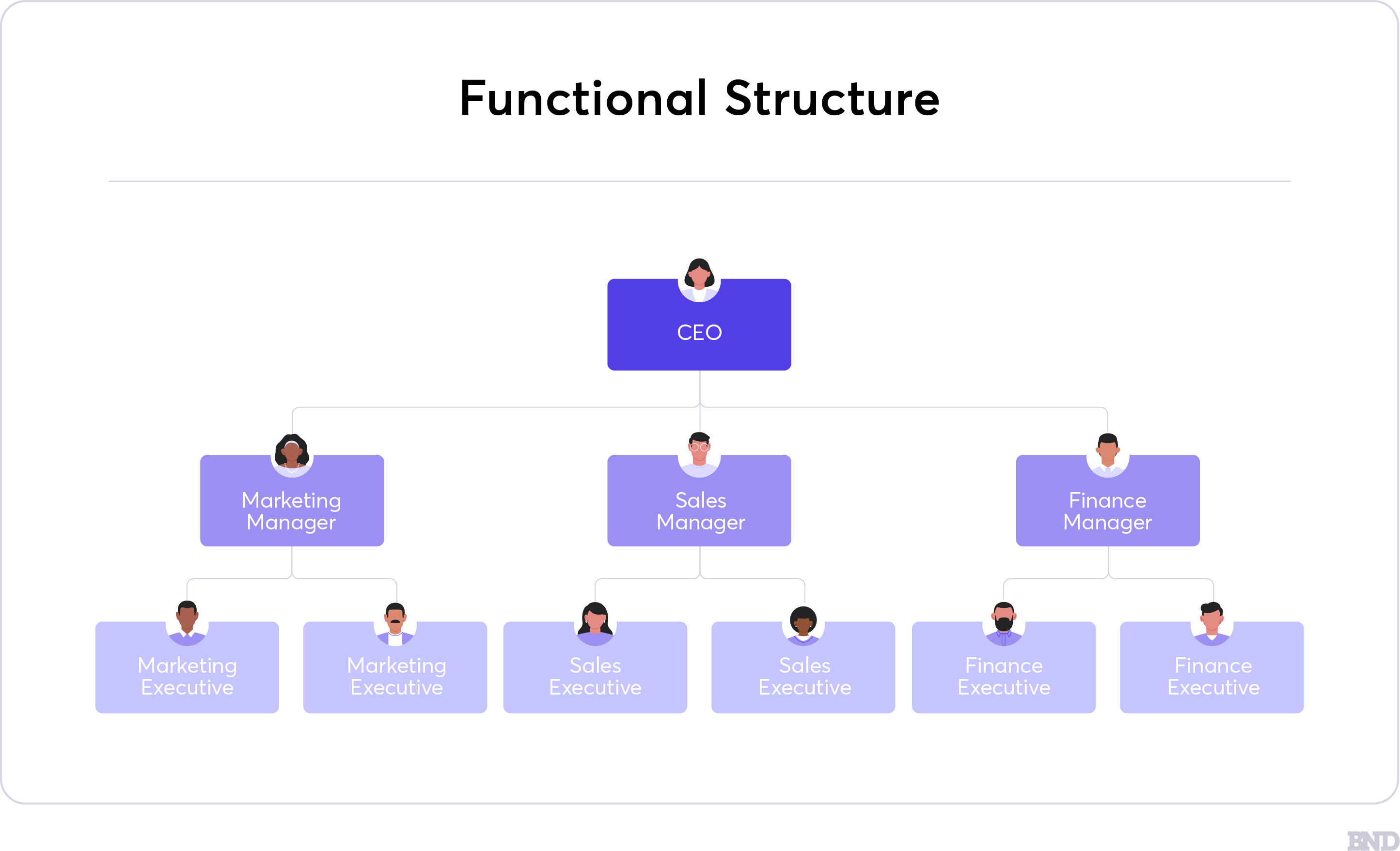 Functional Structure graphic