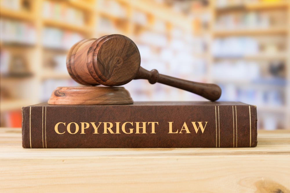 IP (Intellectual property) Infringement – a Case, a Concern, an Appeal